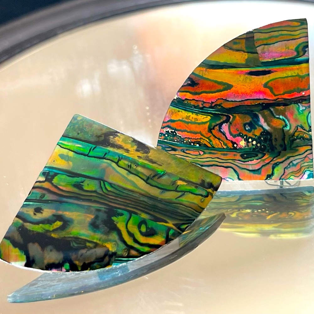 Pure Abalone earrings. UNBELIEVABLE!!